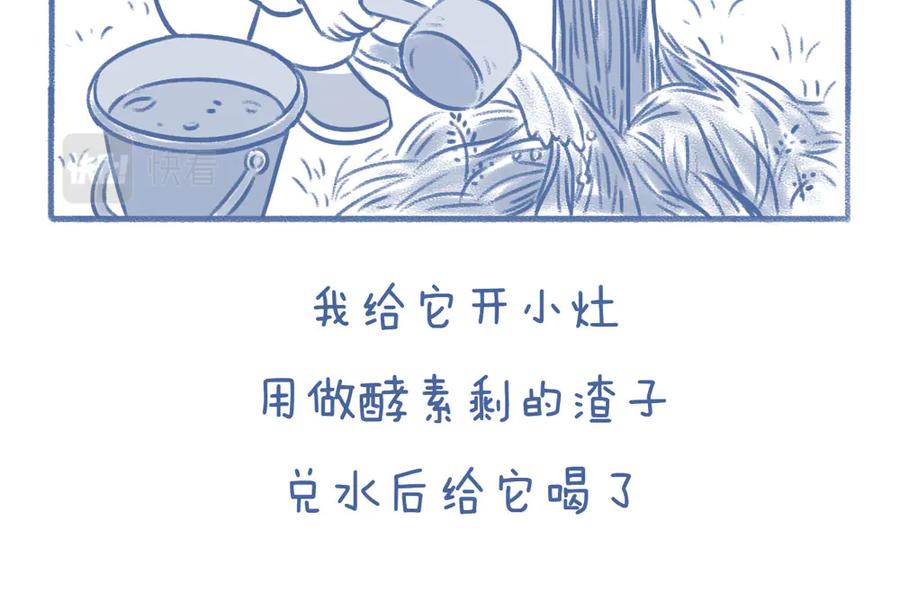 《未来总会有惊喜》08桂花树 第8页