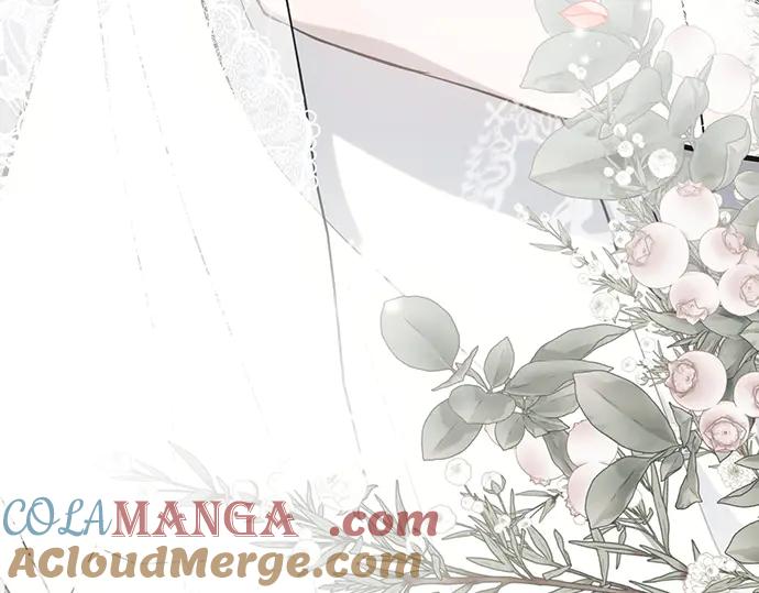 《黑暗皇女：雅什泰洛迪》完结话 第245页