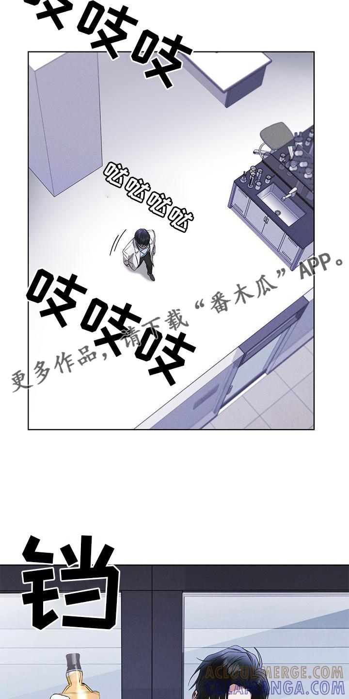 《彩虹城》第27章：上膛 第11页