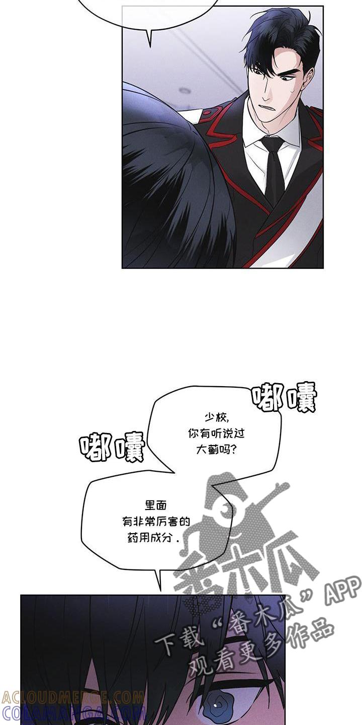 《彩虹城》第28章：醉倒 第17页