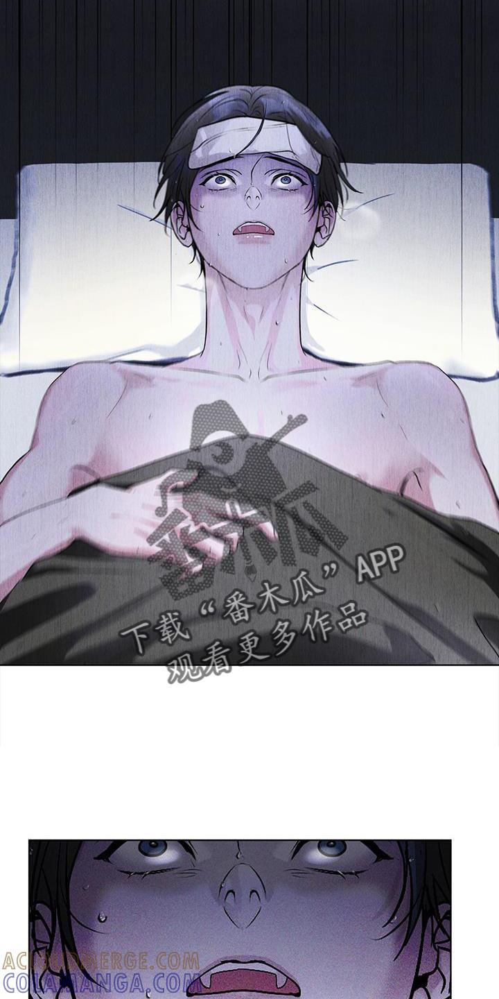 《彩虹城》第29章：做梦 第19页
