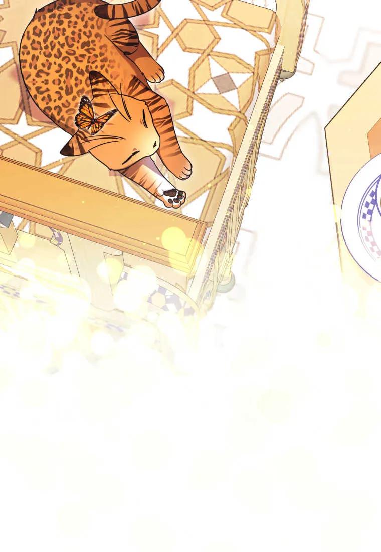 成为苏尔坦珍爱的猫咪 第33话 第77页