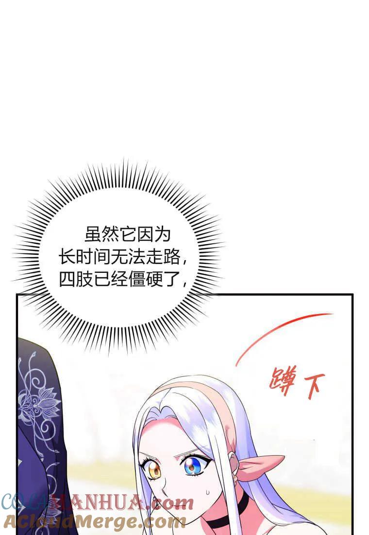 成为苏尔坦珍爱的猫咪 第33话 第12页