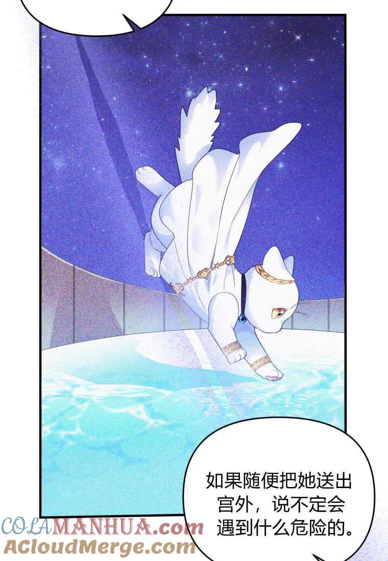 成为苏尔坦珍爱的猫咪 第33话 第72页