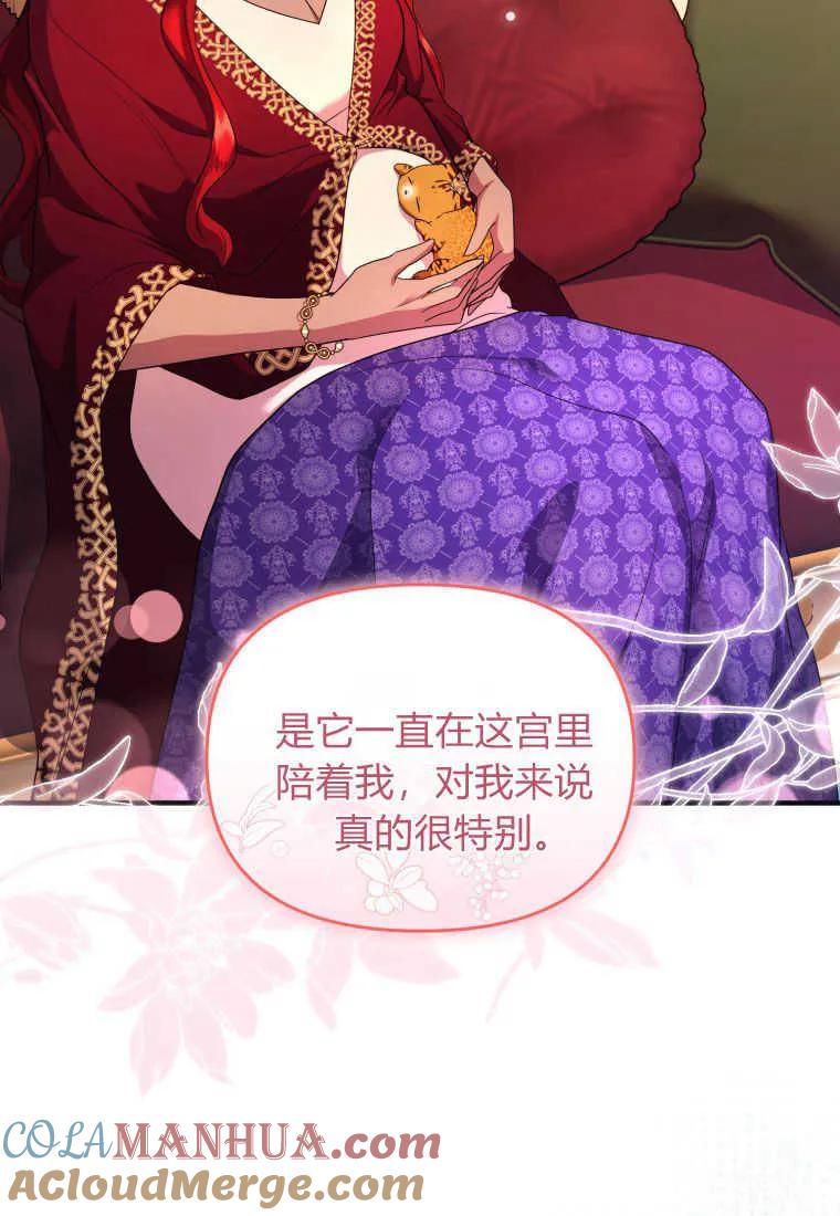 成为苏尔坦珍爱的猫咪 第33话 第8页