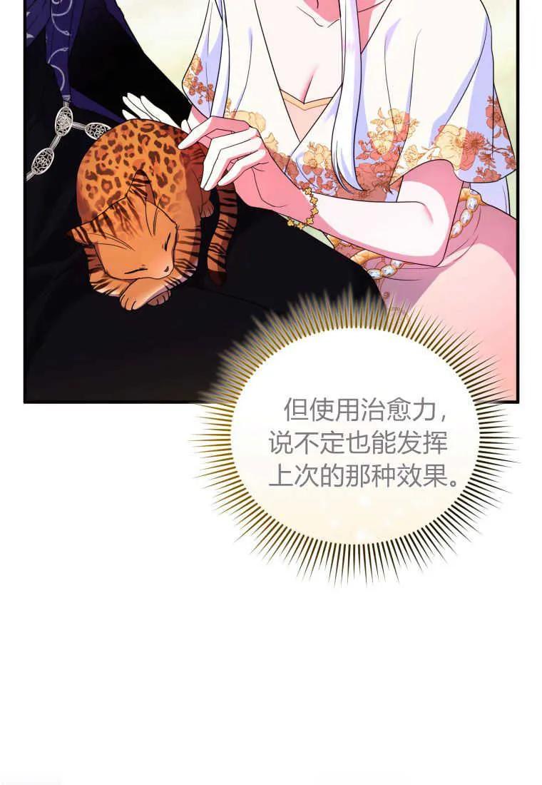 成为苏尔坦珍爱的猫咪 第33话 第13页