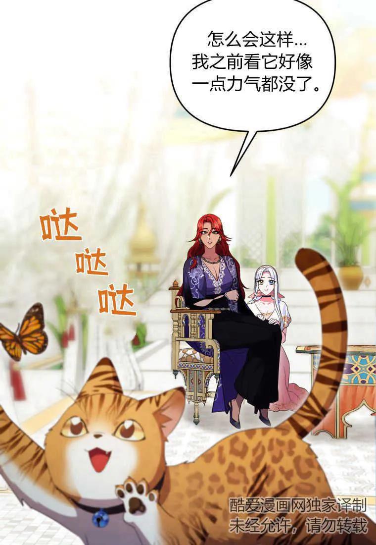 成为苏尔坦珍爱的猫咪 第33话 第22页