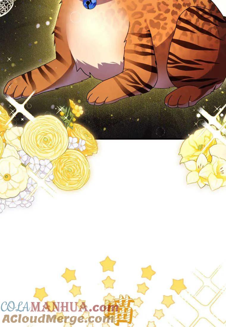 成为苏尔坦珍爱的猫咪 第33话 第20页