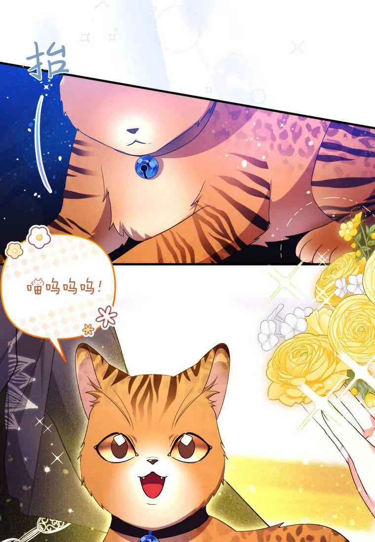 成为苏尔坦珍爱的猫咪 第33话 第19页