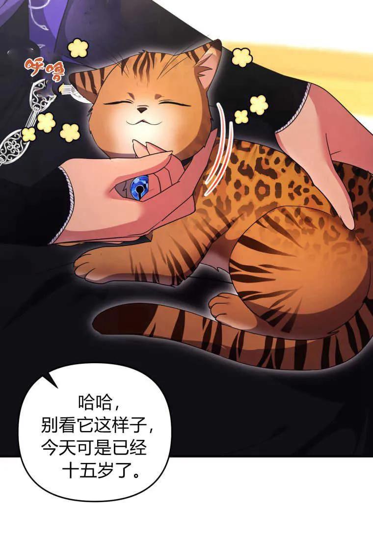 成为苏尔坦珍爱的猫咪 第33话 第6页