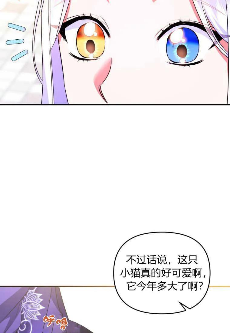 成为苏尔坦珍爱的猫咪 第33话 第5页
