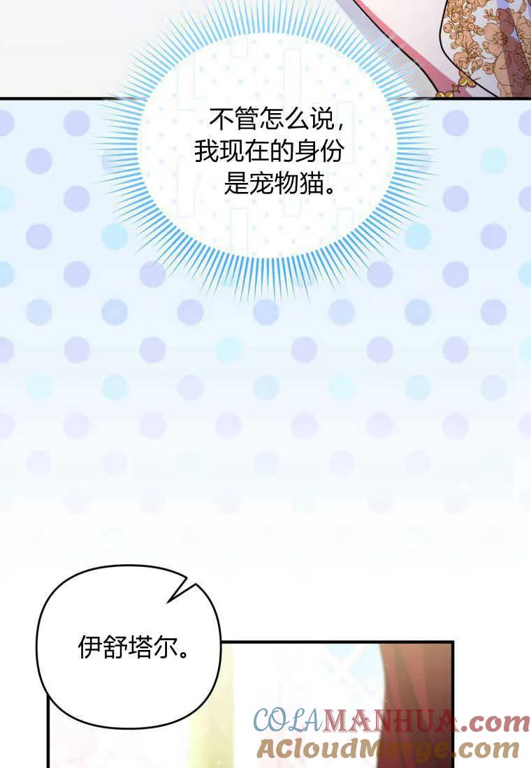 成为苏尔坦珍爱的猫咪 第33话 第80页