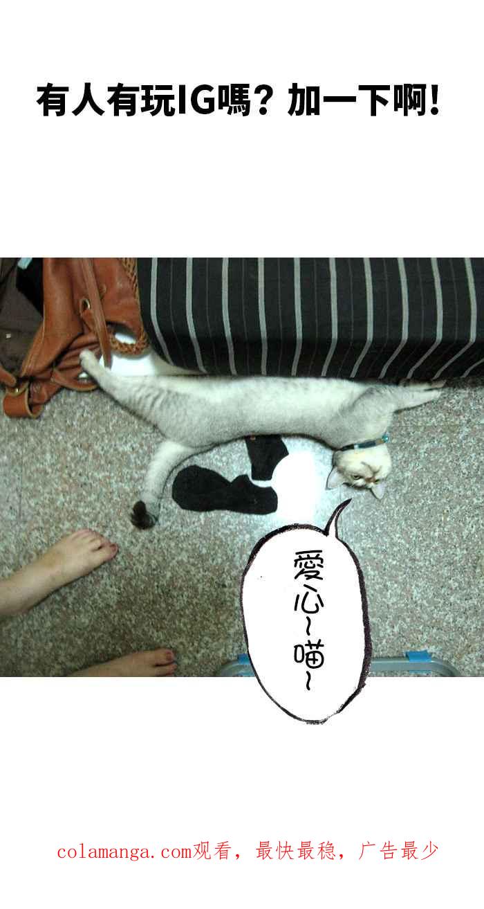猫剑客 [第105话] 折翼天使 肆拾捌，我愿意 第45页