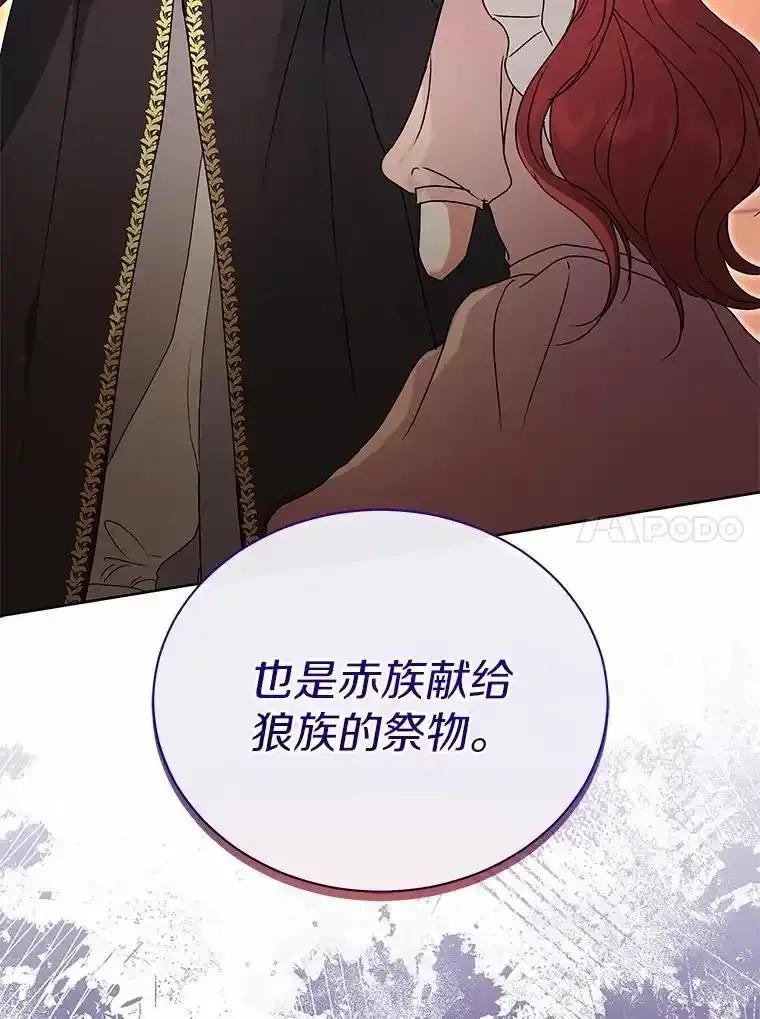 《狼犬男主的驯养师》74.祭物 第116页