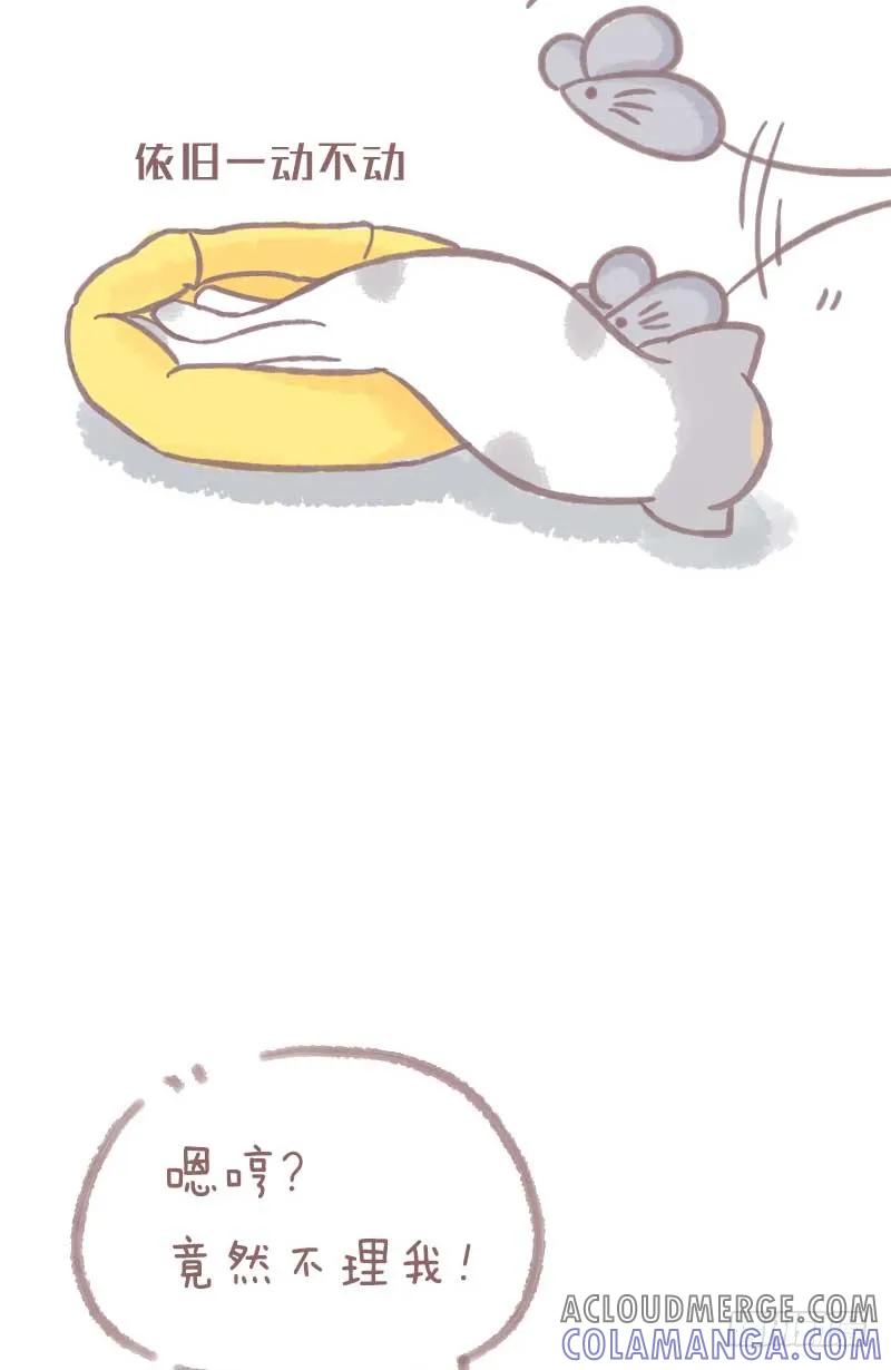 木木子漫画 夏天叫醒一只猫的办法竟然是… 第5页