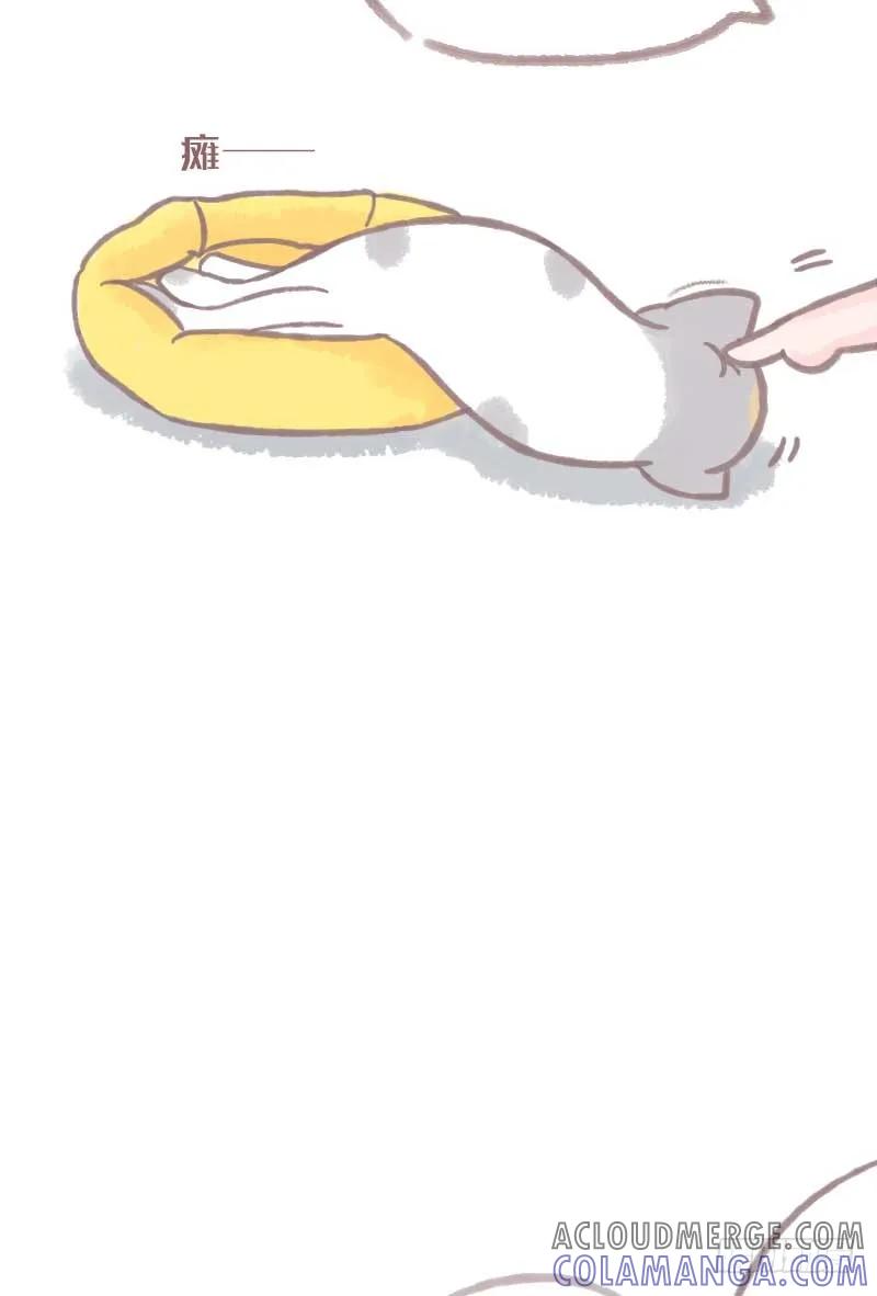 木木子漫画 夏天叫醒一只猫的办法竟然是… 第3页