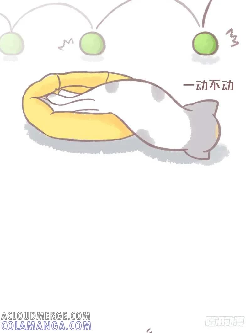 木木子漫画 夏天叫醒一只猫的办法竟然是… 第4页