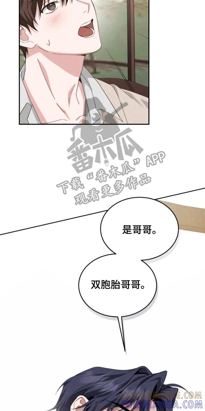 《危情三人戏》第5章：双胞胎 第17页