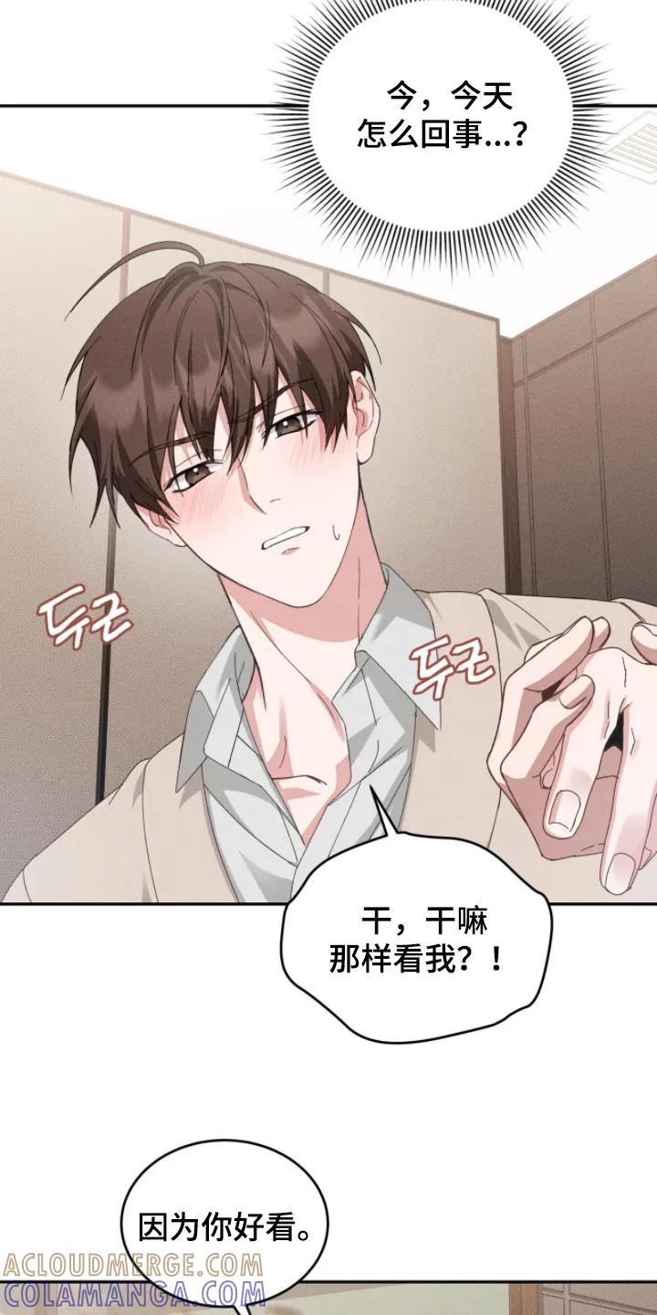 《危情三人戏》第5章：双胞胎 第3页