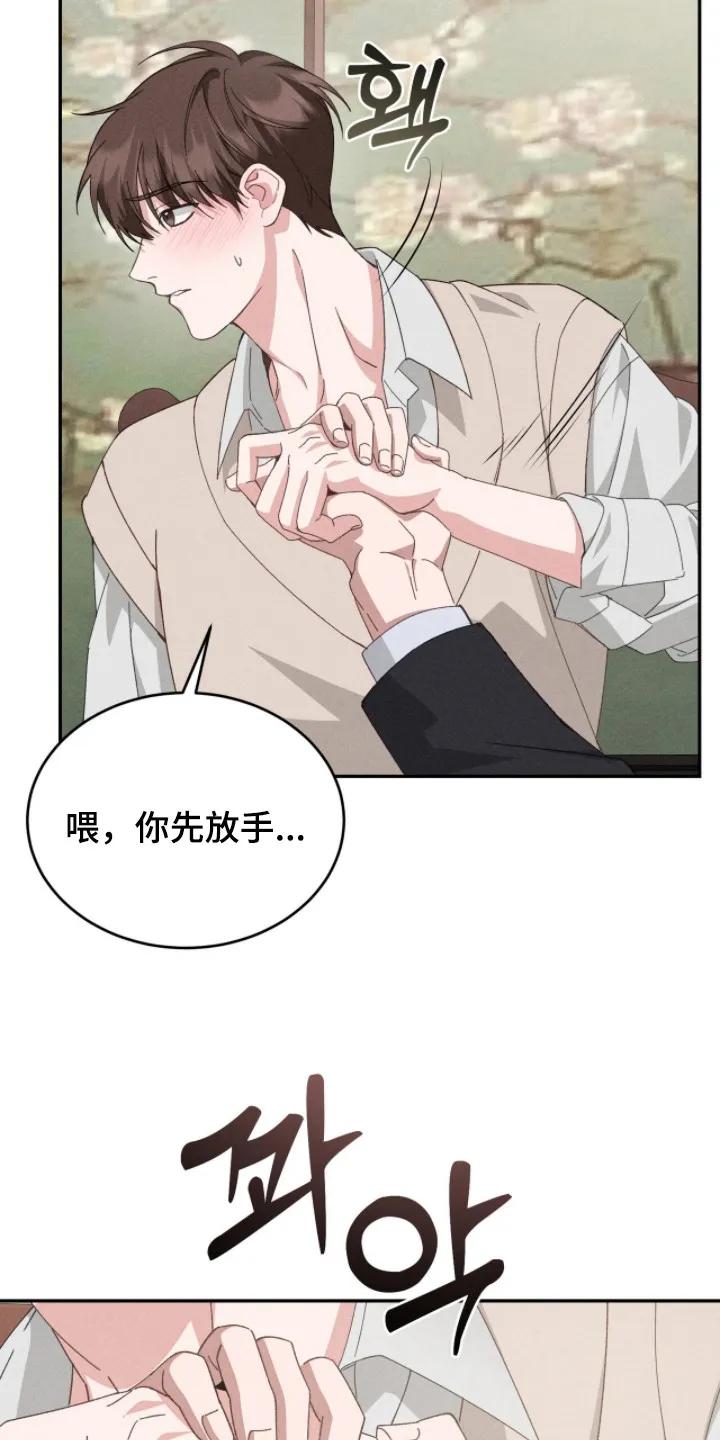 《危情三人戏》第5章：双胞胎 第12页