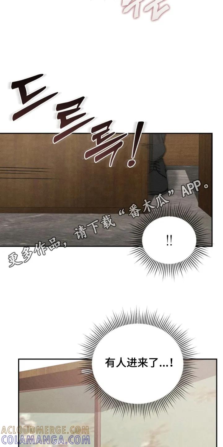 《危情三人戏》第5章：双胞胎 第11页
