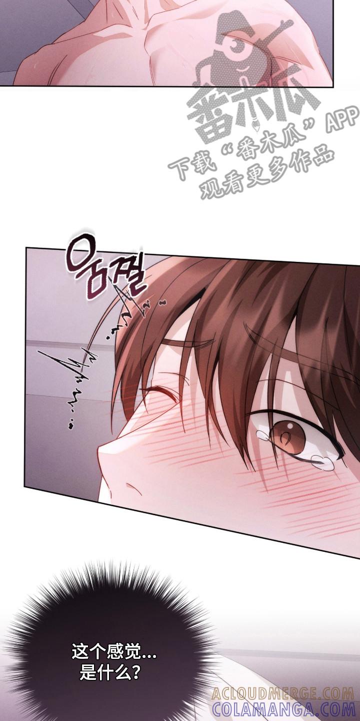 《危情三人戏》第9章：轻视 第17页