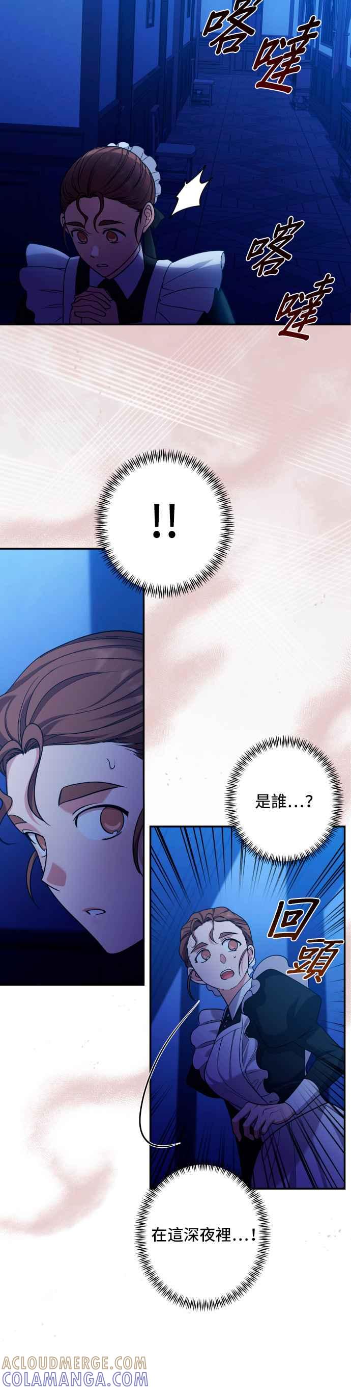 《请杀了我老公》第47话：萨夏的一切 第29页