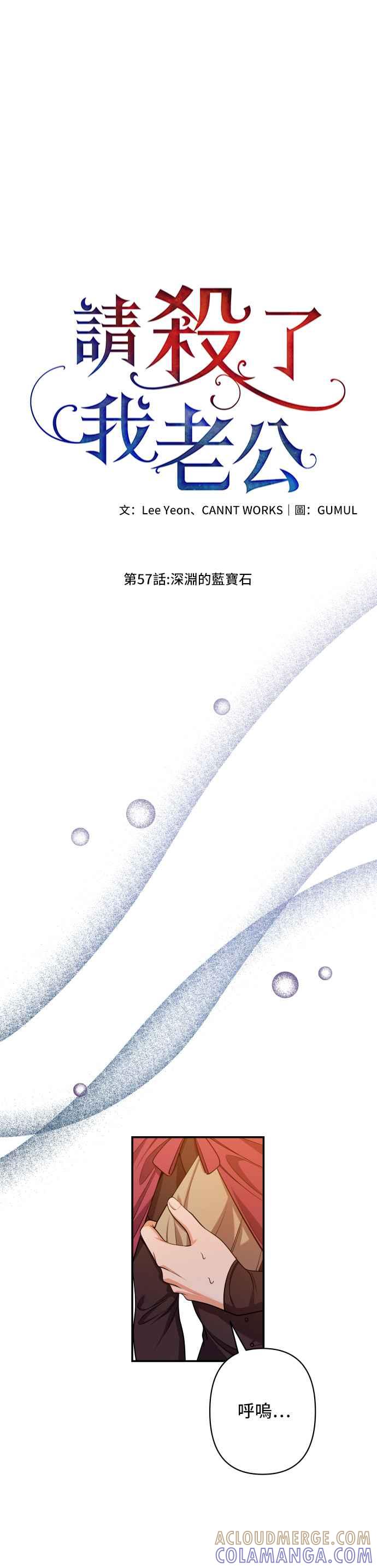 《请杀了我老公》第57话：深渊的蓝宝石 第34页