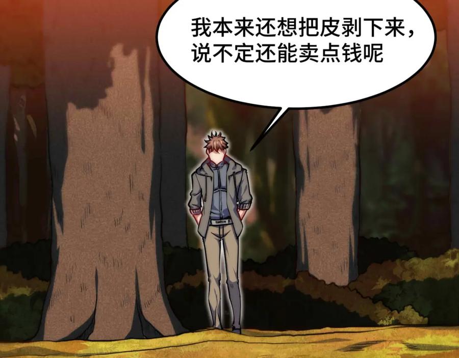 113.jpg