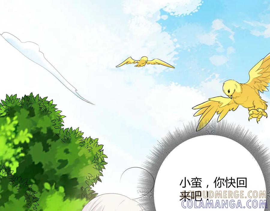 《神兽萌宠》第63话 第37页