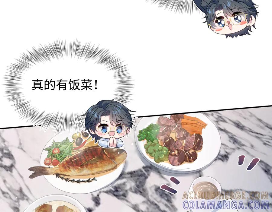 【快穿】绝美白莲在线教学 458 这些天打扰了 第41页