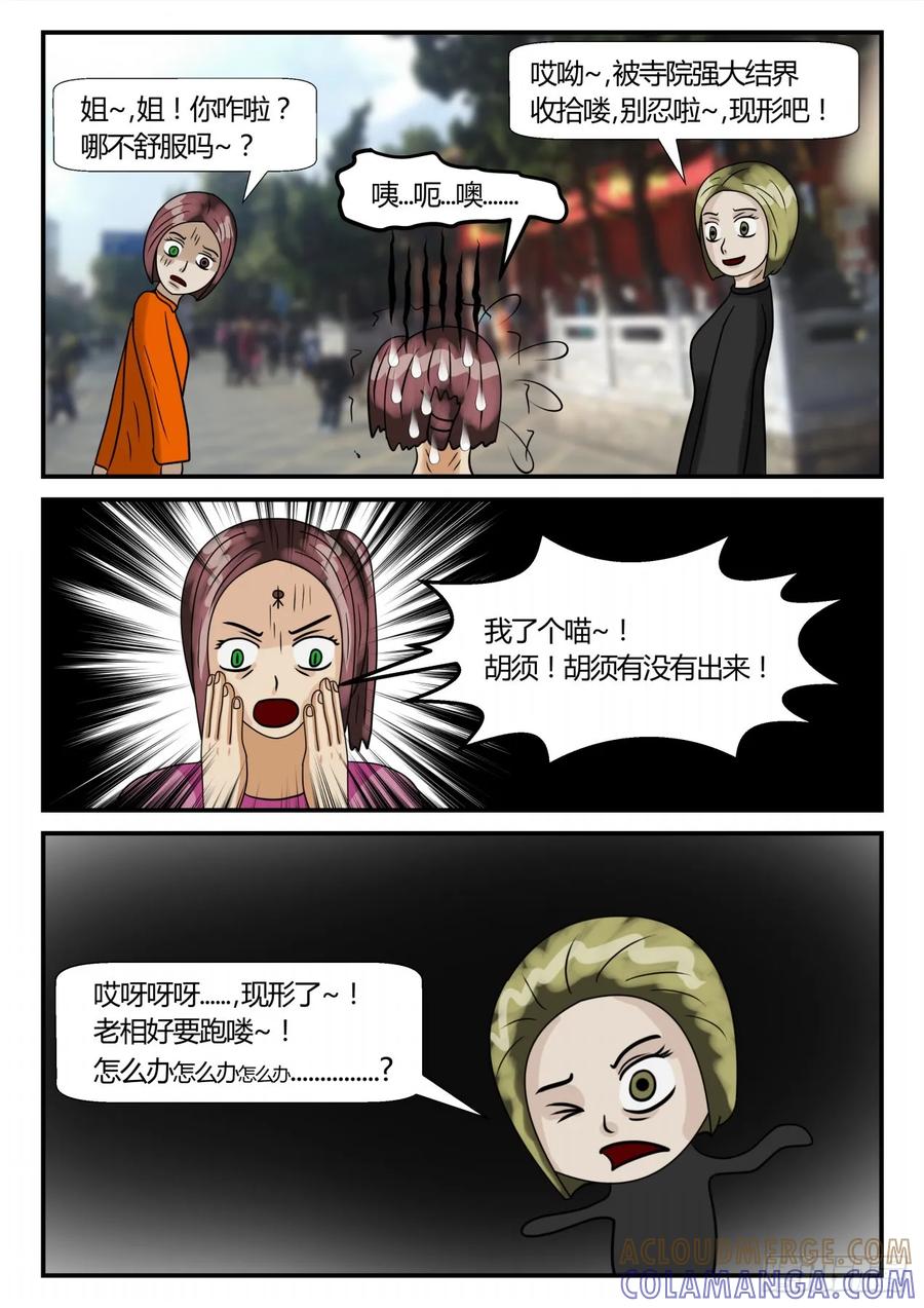 《一人领域》第二章 已往 小咪造访 第8页