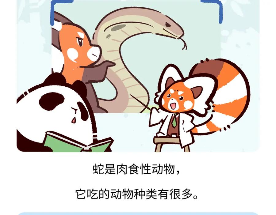 《胖达x胖达》第253话 第20页