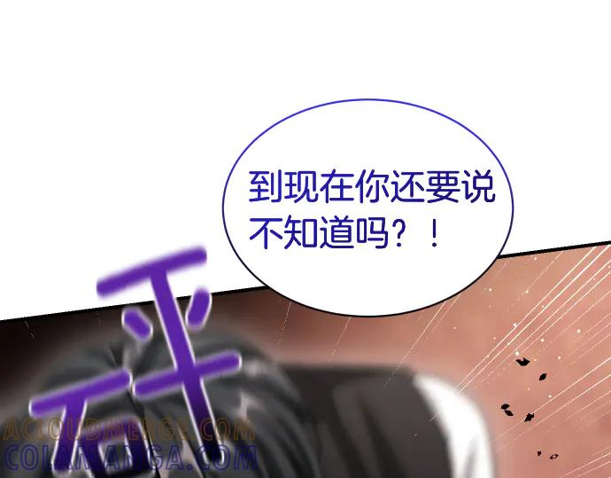 《凡菲尔德的秘密》第56话 正面迎击 第117页