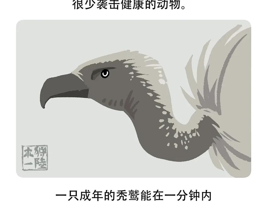 《胖达x胖达》第84话 第28页