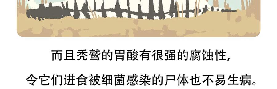 《胖达x胖达》第84话 第30页