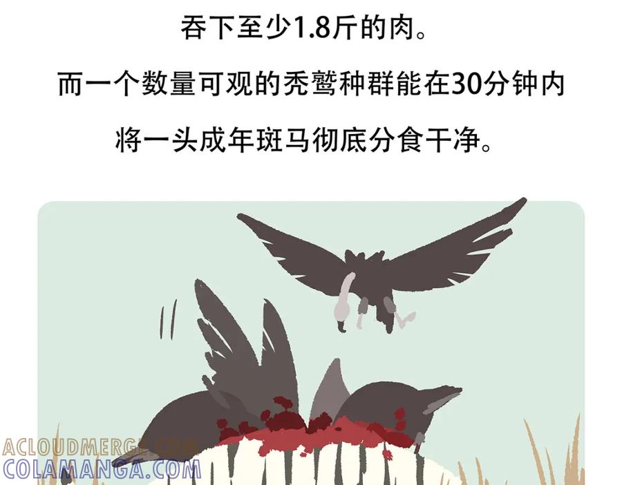 《胖达x胖达》第84话 第29页