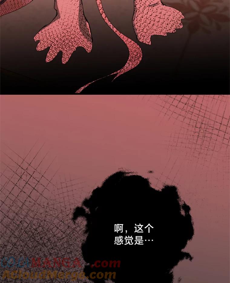《请痛快地处决我》68.永别 第33页