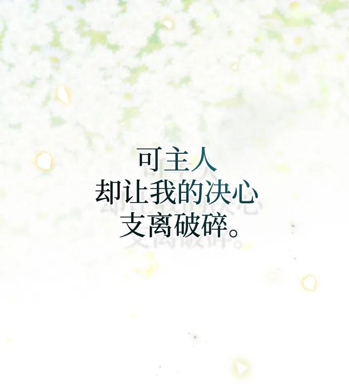 《伯爵家的神秘侍女》第44话 第41页
