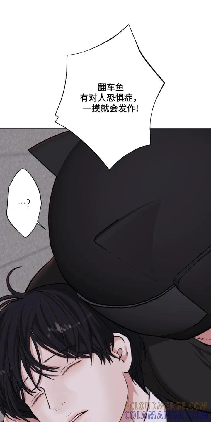 《海岛人生》第98章：【第二季】恐惧症 第29页