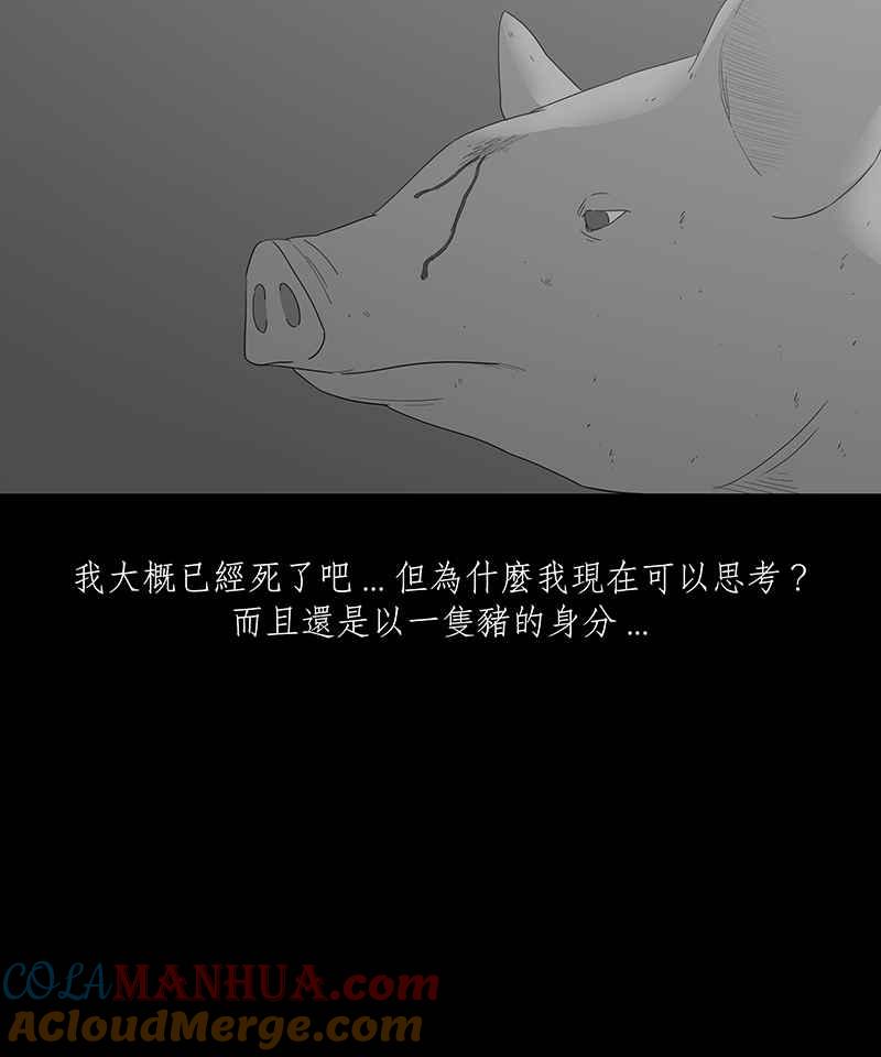黑盒子 [第116话] 猪人(2) 第17页