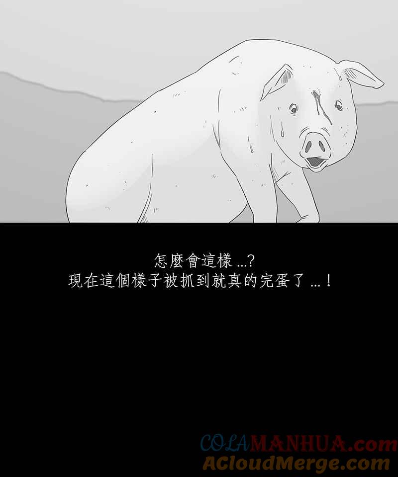黑盒子 [第116话] 猪人(2) 第5页