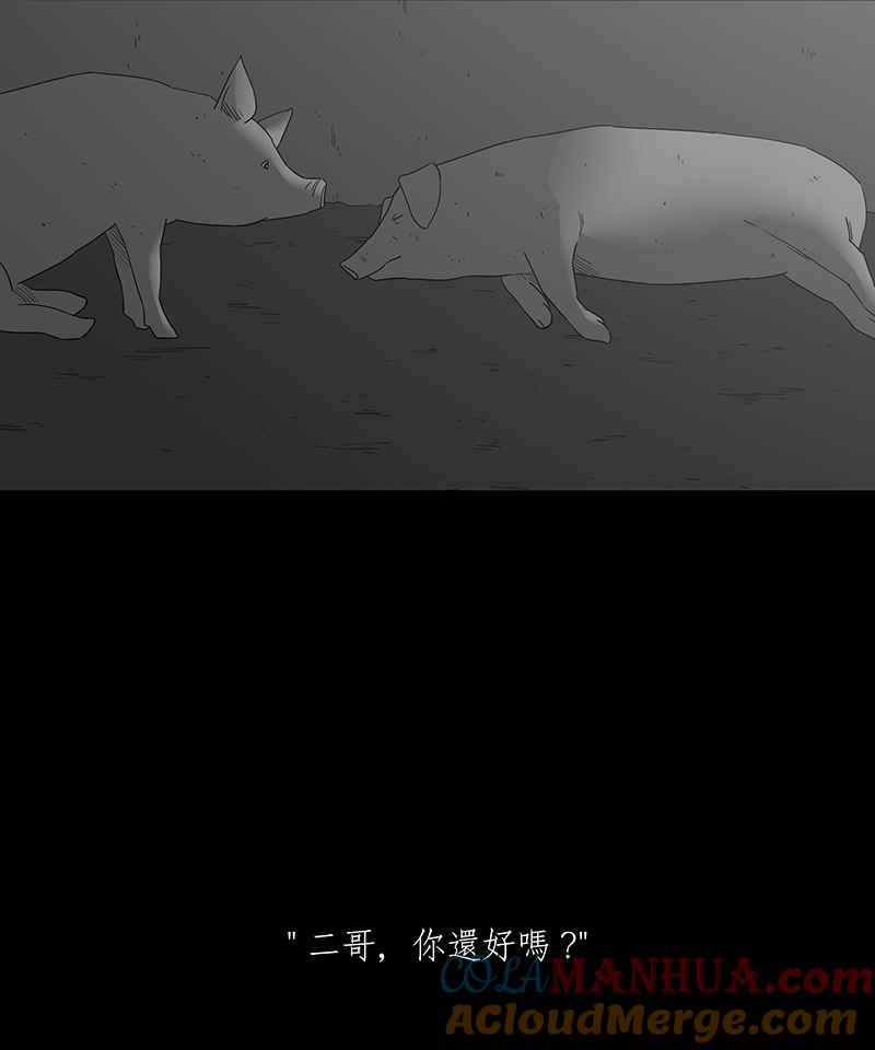 黑盒子 [第117话] 猪人(3) 第9页