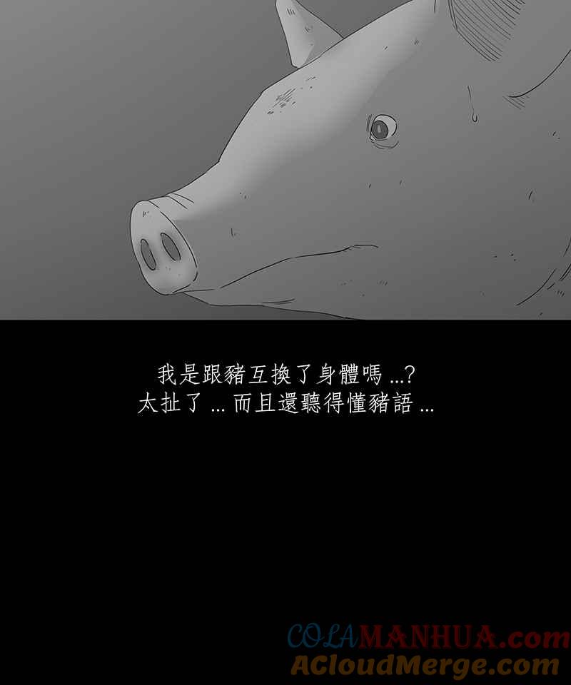 黑盒子 [第117话] 猪人(3) 第3页