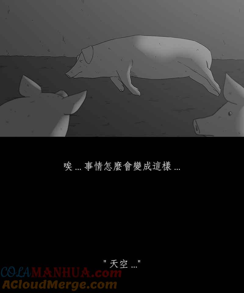 黑盒子 [第117话] 猪人(3) 第5页