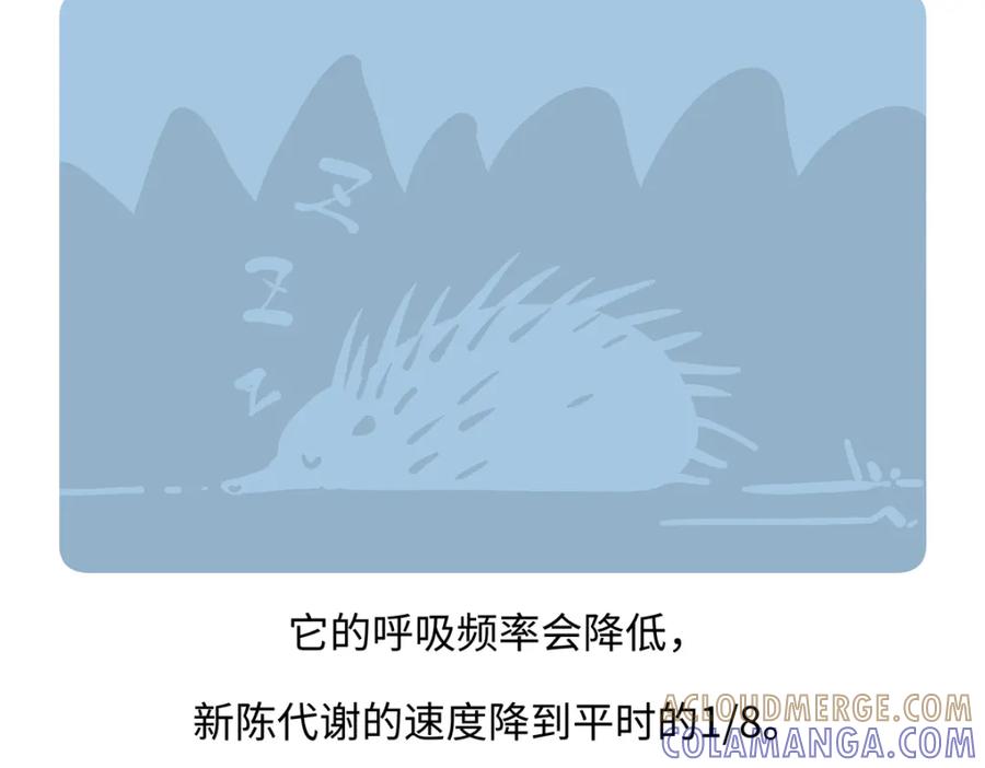 《胖达x胖达》第259话 第29页