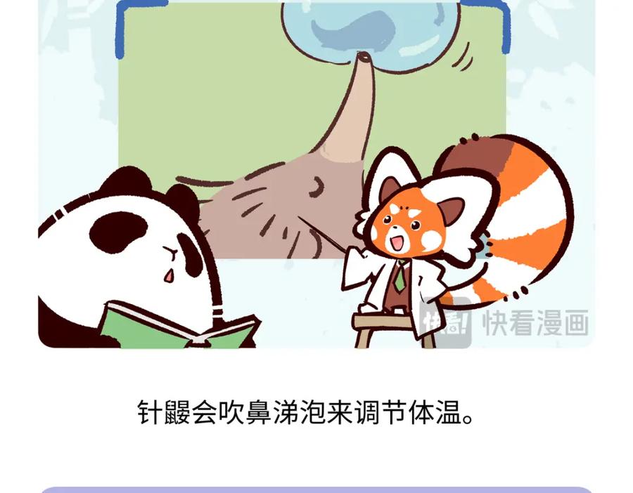 《胖达x胖达》第259话 第22页