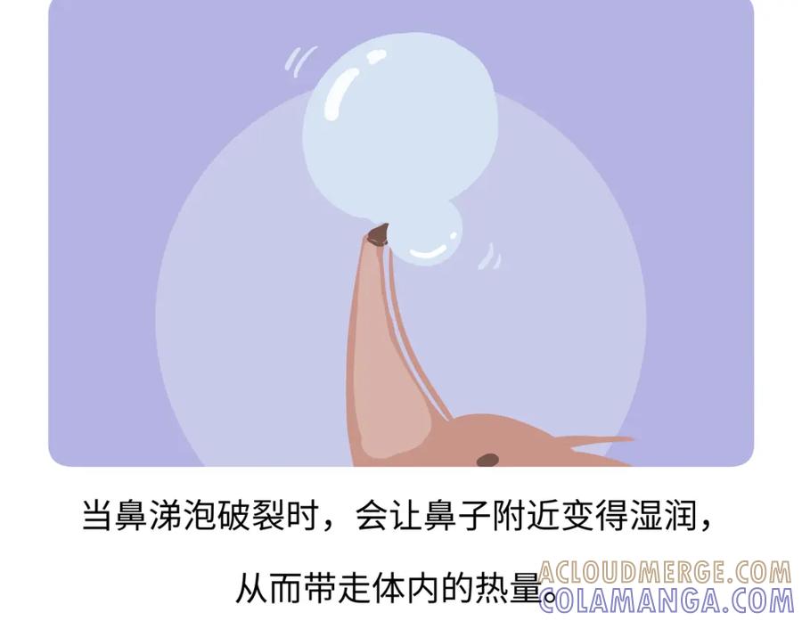 《胖达x胖达》第259话 第23页