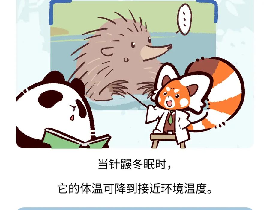 《胖达x胖达》第259话 第28页