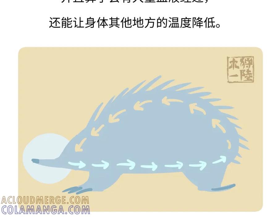 《胖达x胖达》第259话 第25页